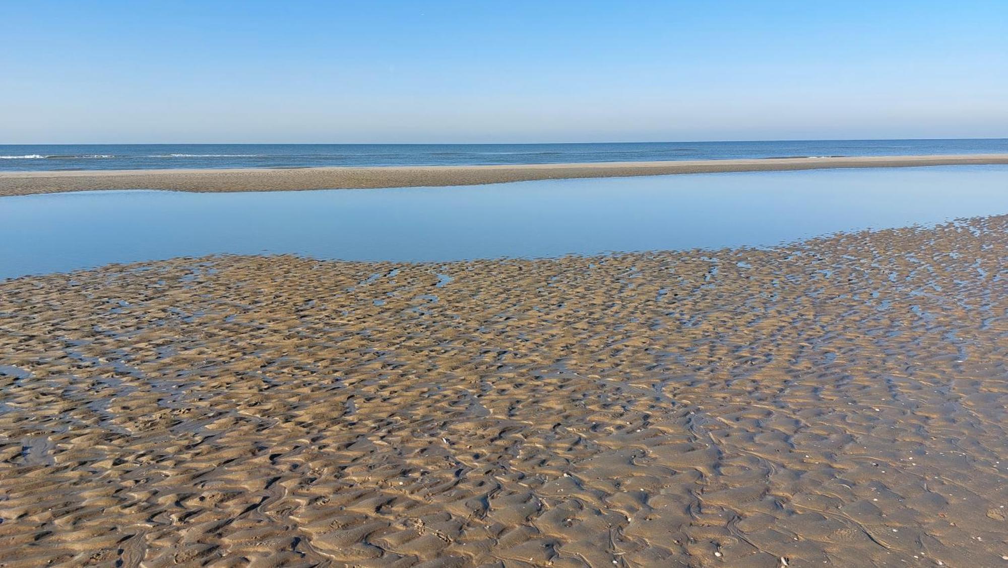 Zeelucht Διαμέρισμα Zandvoort Εξωτερικό φωτογραφία