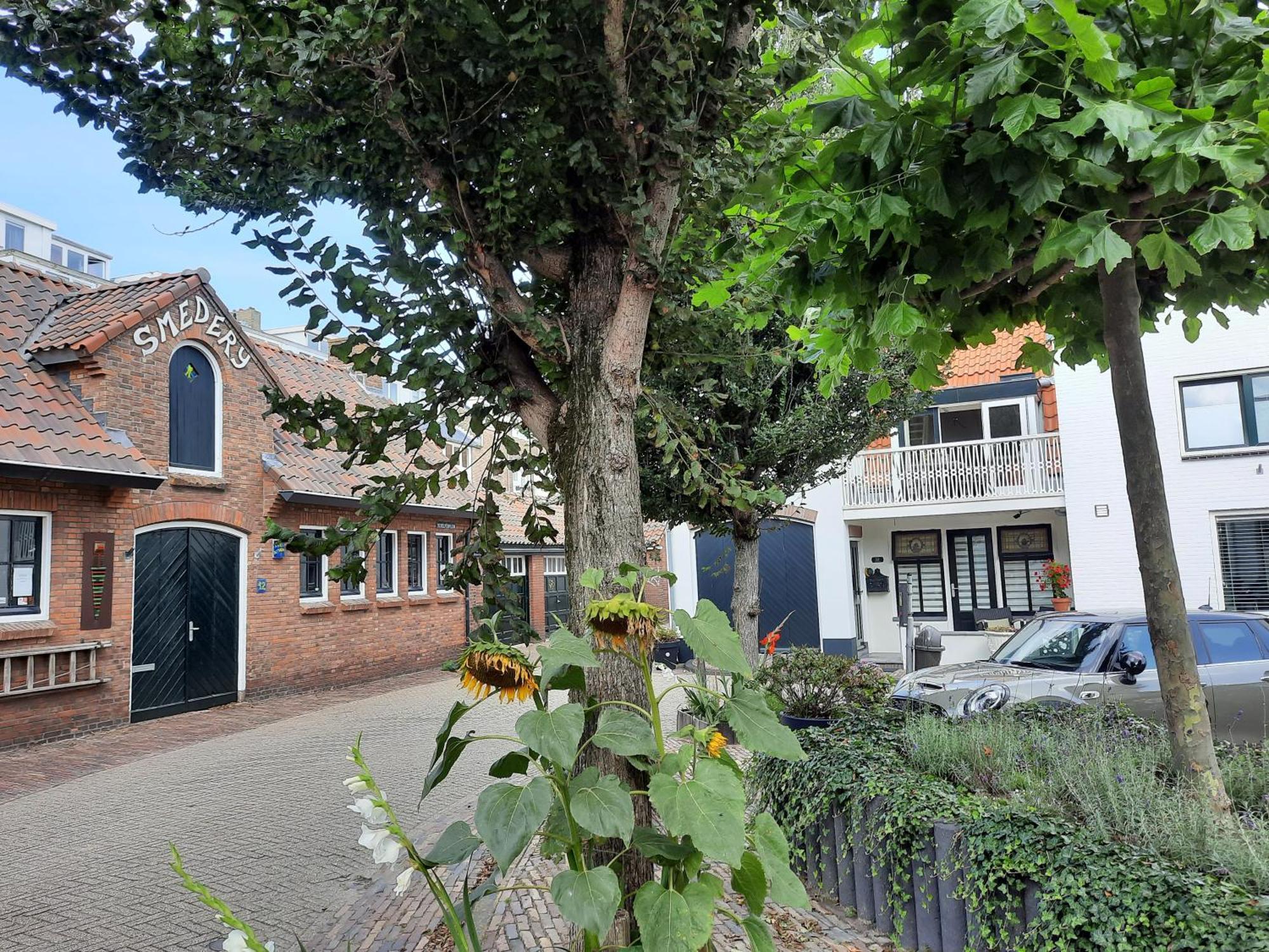 Zeelucht Διαμέρισμα Zandvoort Εξωτερικό φωτογραφία